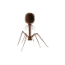 T4 Bacteriophage